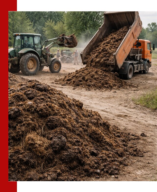 Доставка навоза самосвалами в Копейске для сельхозпотребностей